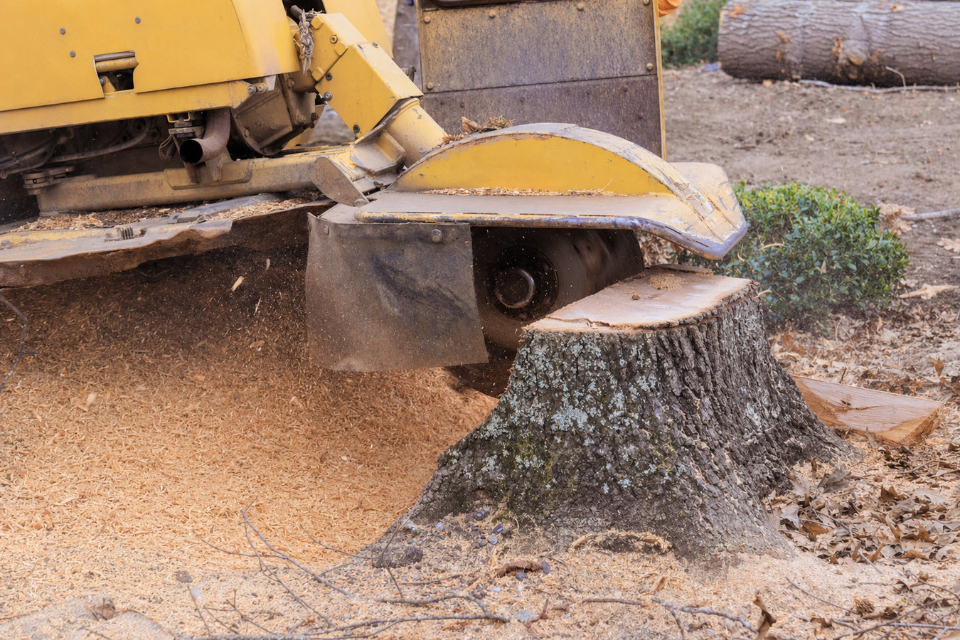 Stump removal