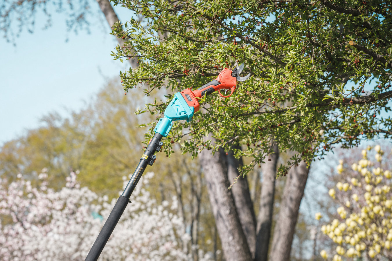 Tree pruning